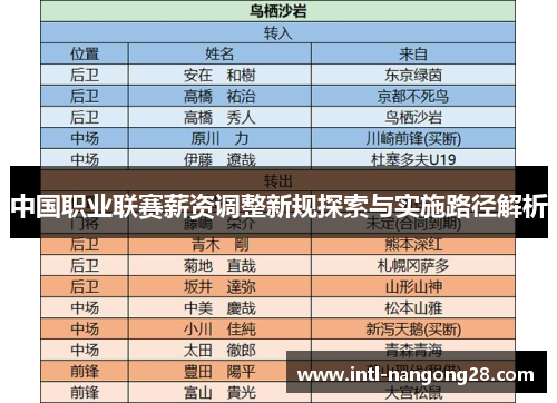 中国职业联赛薪资调整新规探索与实施路径解析