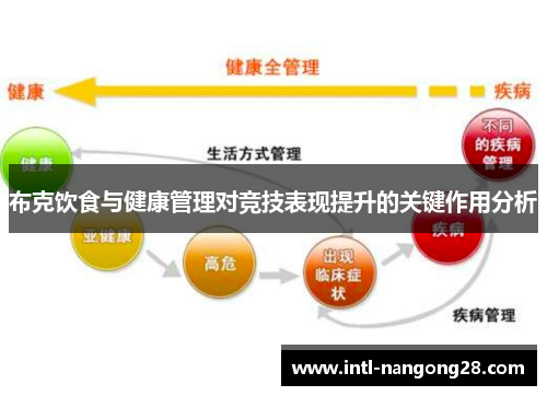 布克饮食与健康管理对竞技表现提升的关键作用分析